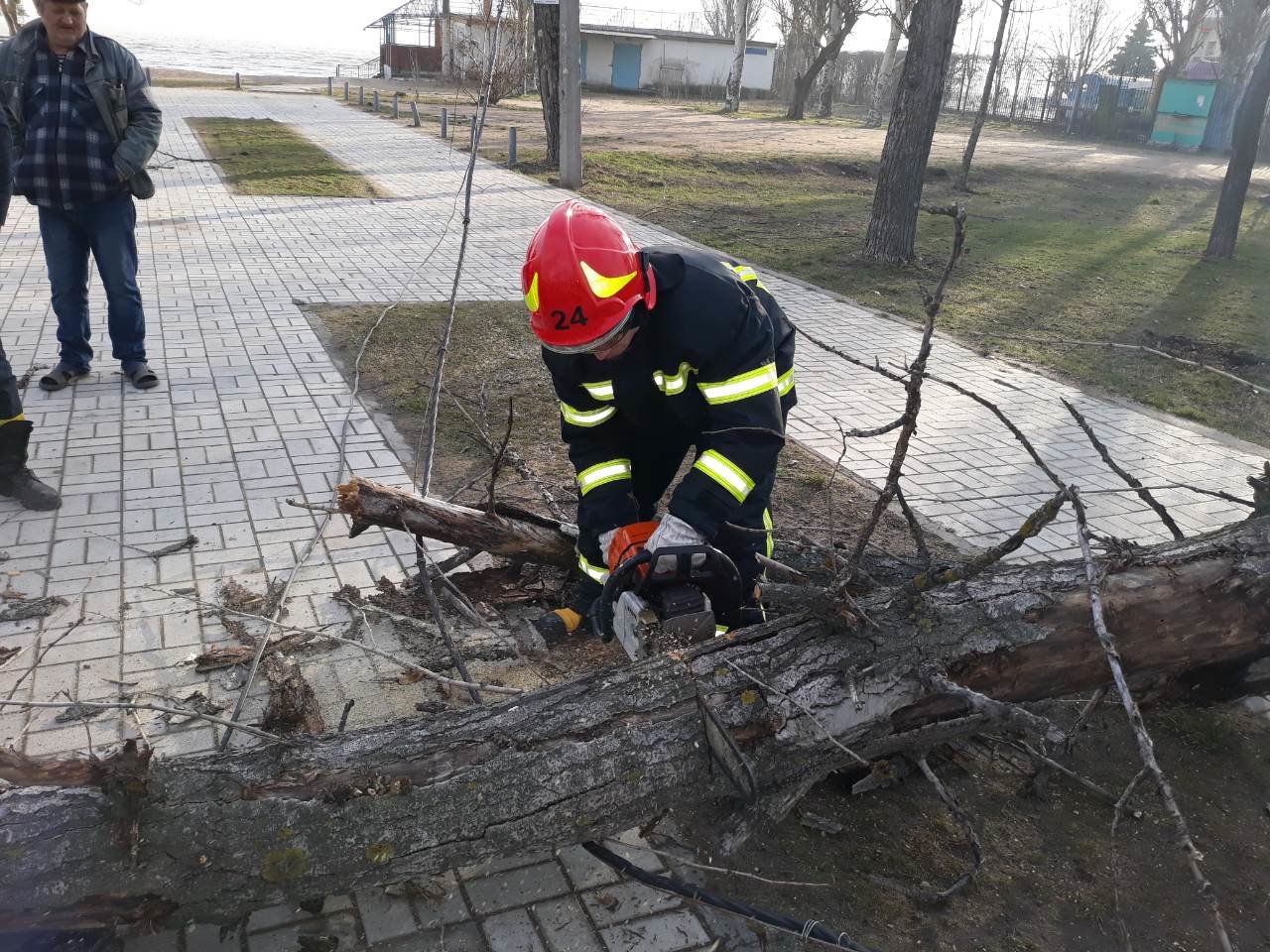  ������������� ��������� ������������� ����������� ������� ���� ����� 