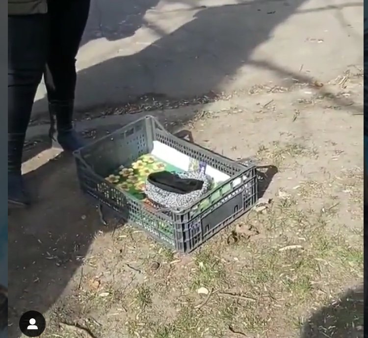  ������� ������ ������������� ��������������� ������� ����� ������� ����� 