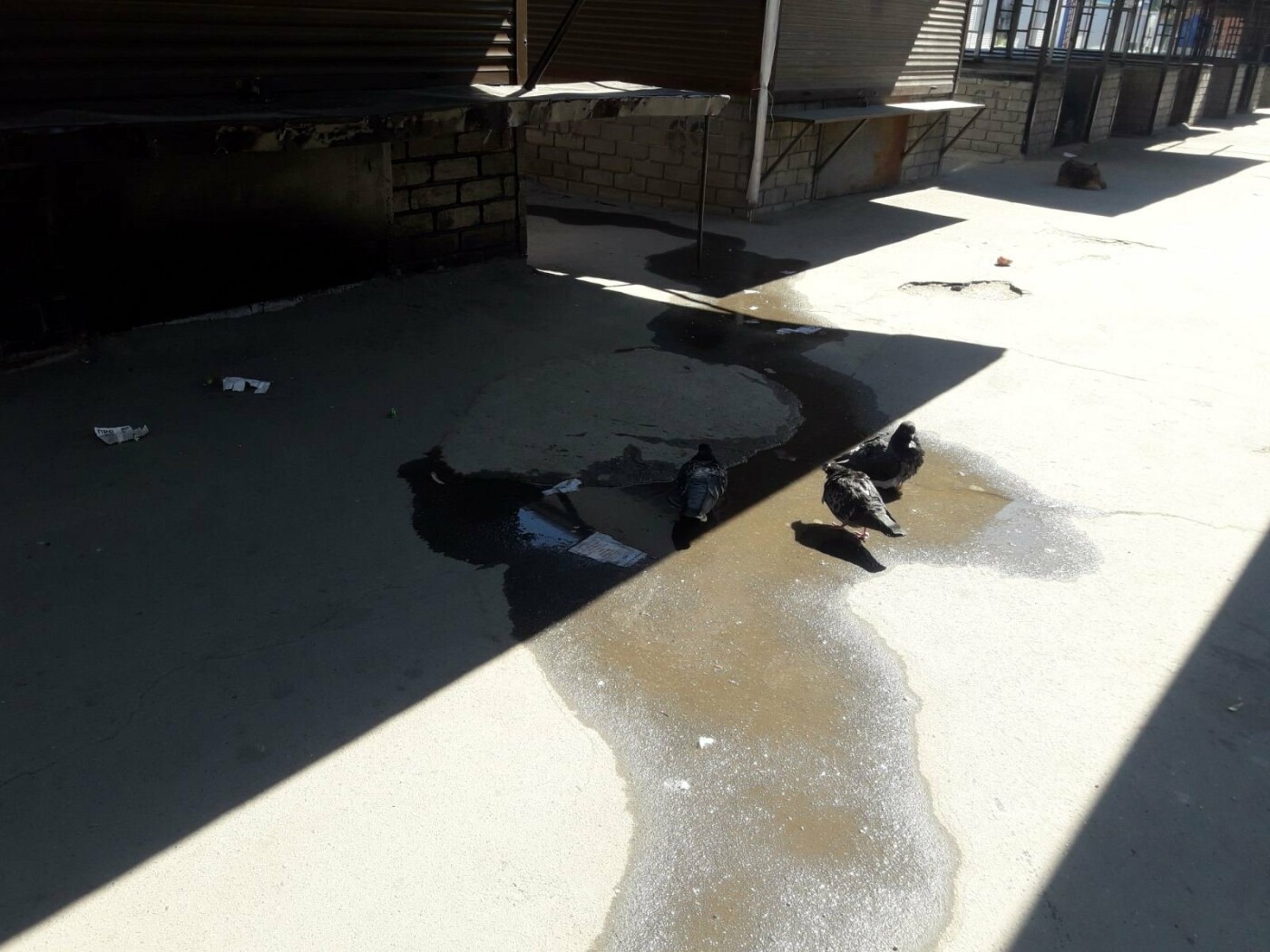  ������������� ����� ������� ������� �������� ���� ����� 