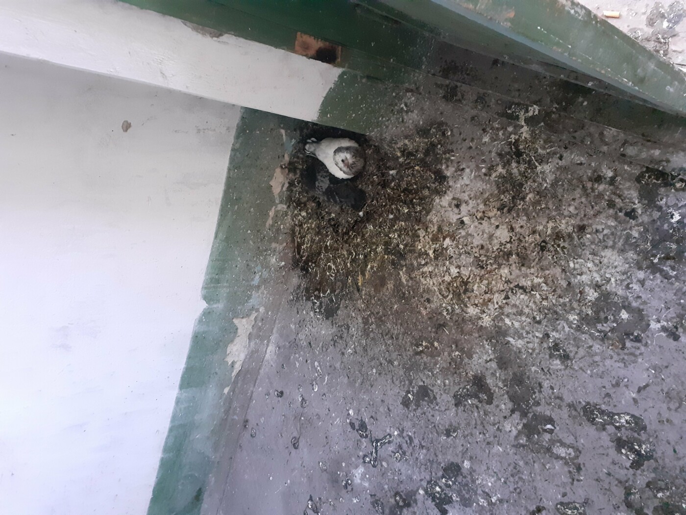  ������������� ������ ��������� ��������� ������� ���� 