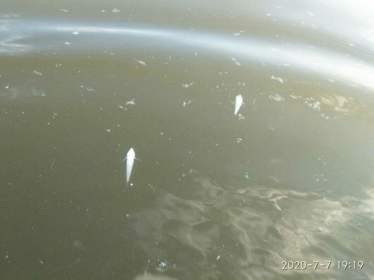 ����: 0629.com.ua