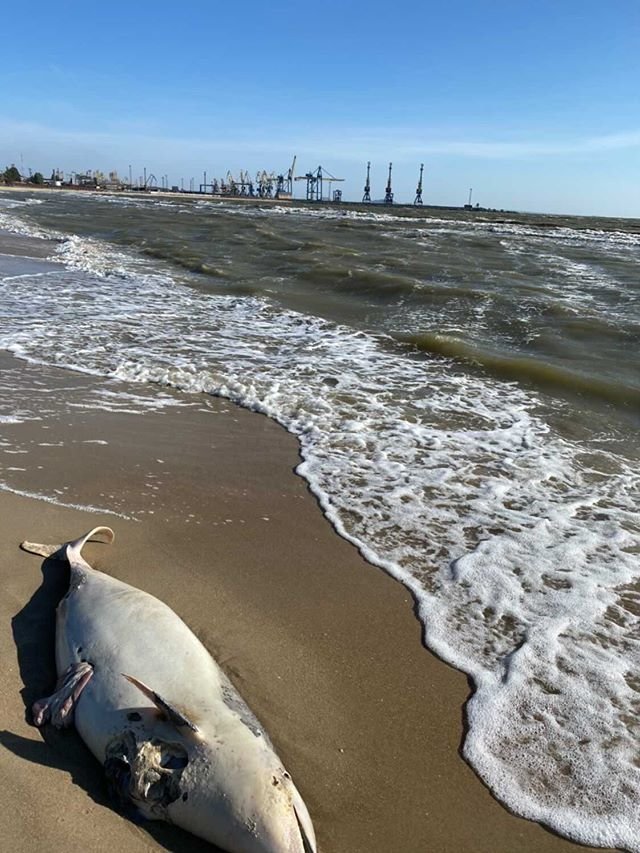 ����: 0629.com.ua