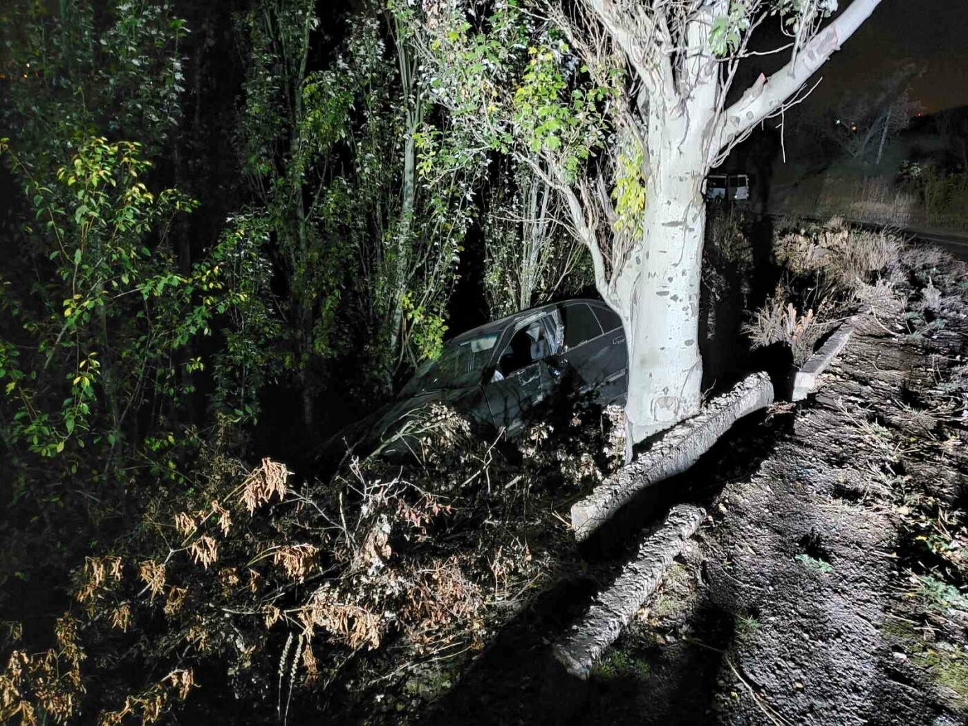  ��������� ���������� ������� ����� ���� ����� 