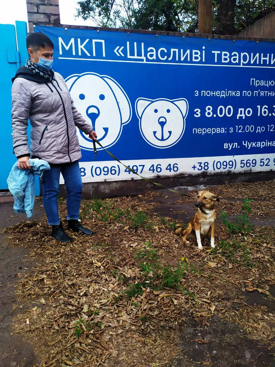  ��������� ������� ����������� ������� ���� 