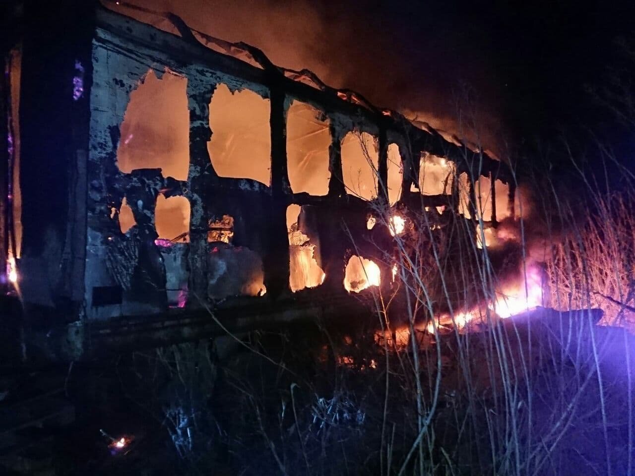  ������������� ��������� 14-������ ������� ��������� ����� ���� ������� 