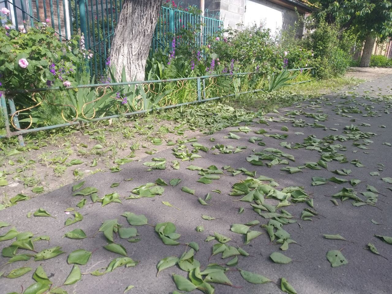 ����: 0629.com.ua