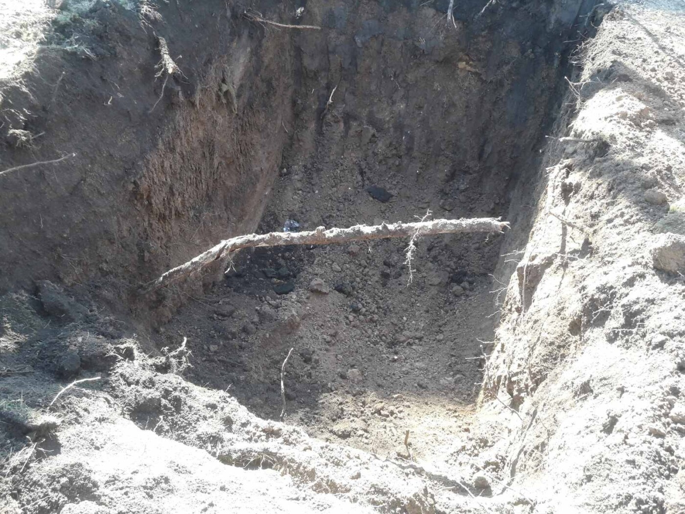  ��������� ������ ��������� �������� ����� ���� 