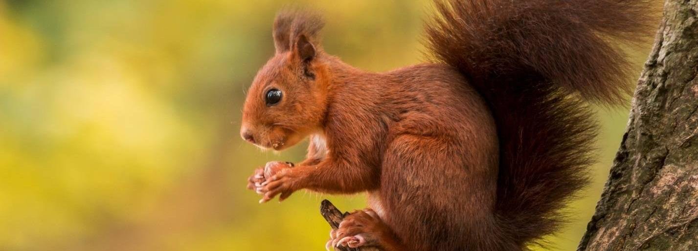  ������ ��������� ��������� ����� �������� 