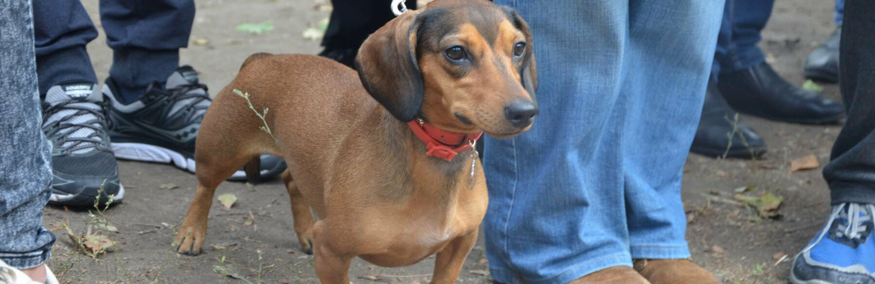  ��������� ������� ������� �������� ����� 