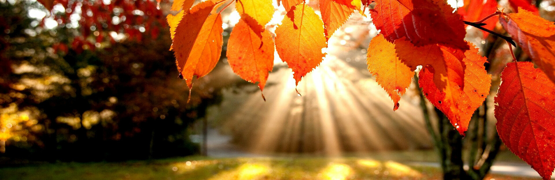 ����: 0629.com.ua