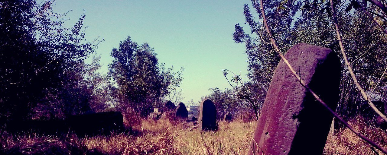  �������� ������� ����� �������� ���� ��������� ���� 