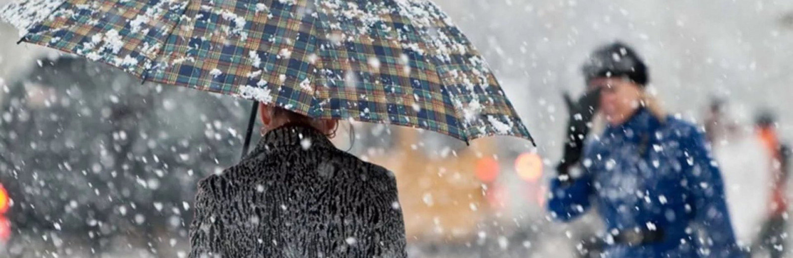  ������ ��������� ���� ����� ������� ������� 