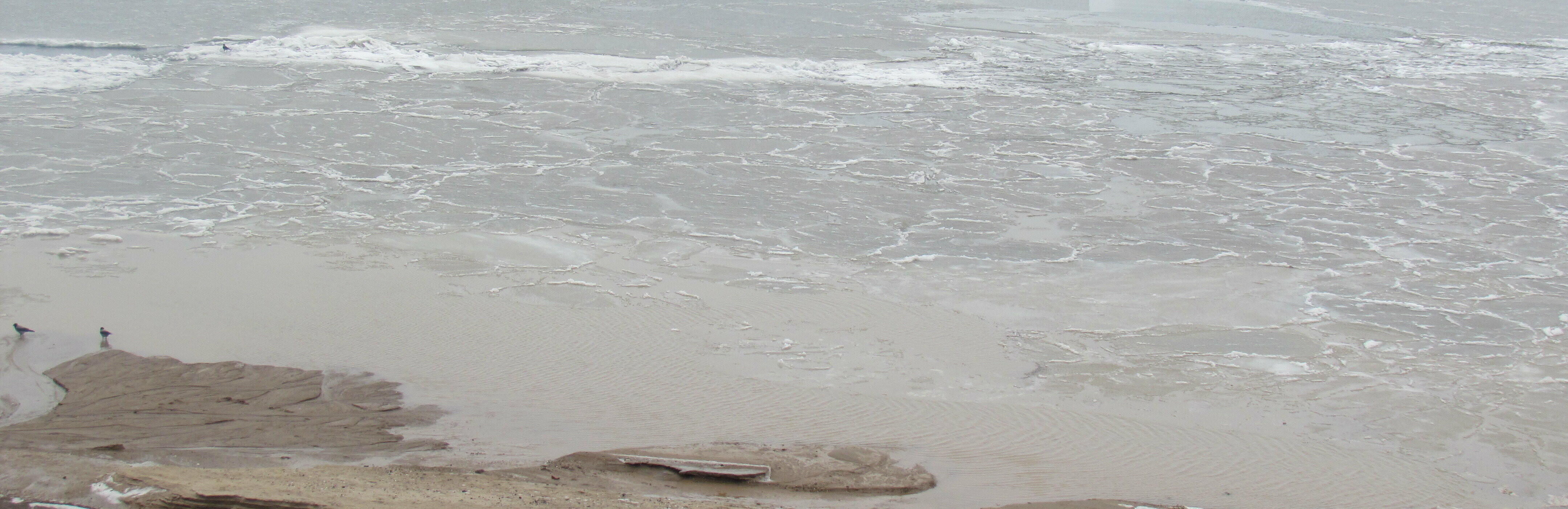  ��� ����� ��������� ��������� ���� ������������ 