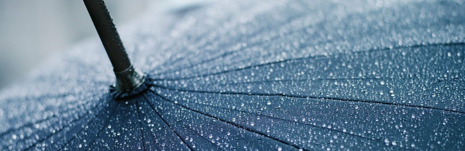  ������ ��������� ������ ��������� ��������� �������������� 