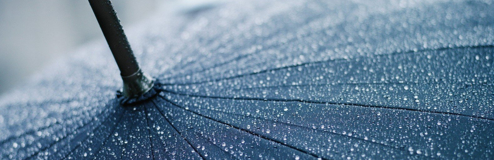  ������ ��������� �������� ����� ����� 