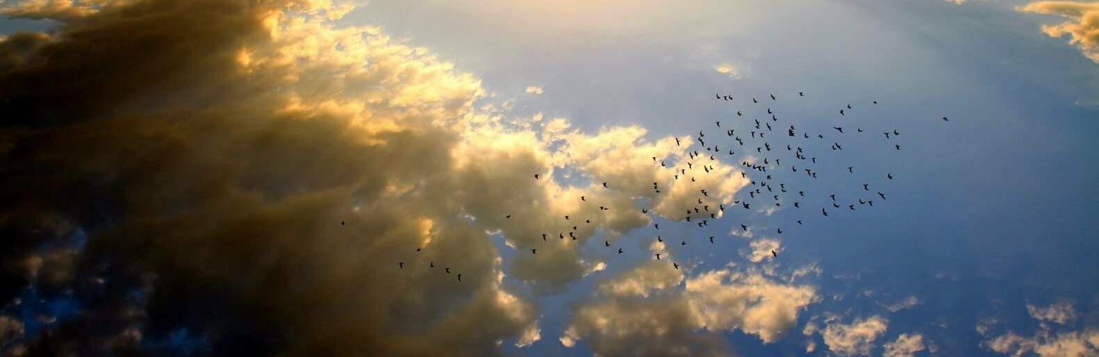  ������ ��������� �������� ������ ��������� ������ 