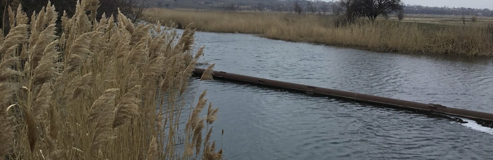  ������� ���� �������� ��������� ���������������� ���� ��������� 