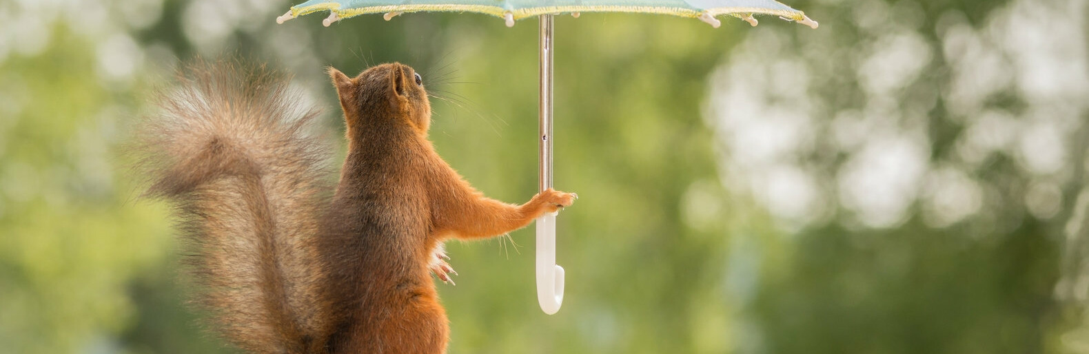  ������ ��������� �������� 