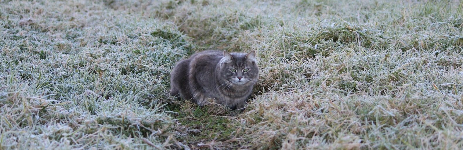  ������ ��������� ��������� ������������ ������ ��������� 