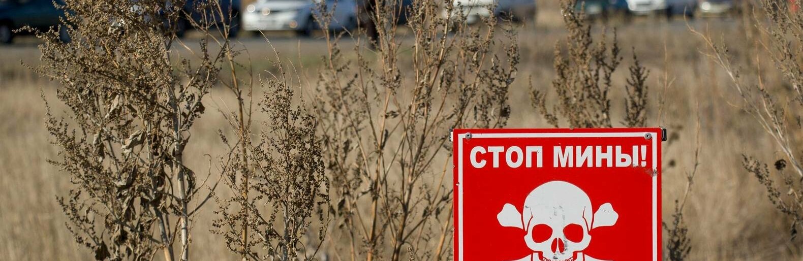 ����: 0629.com.ua