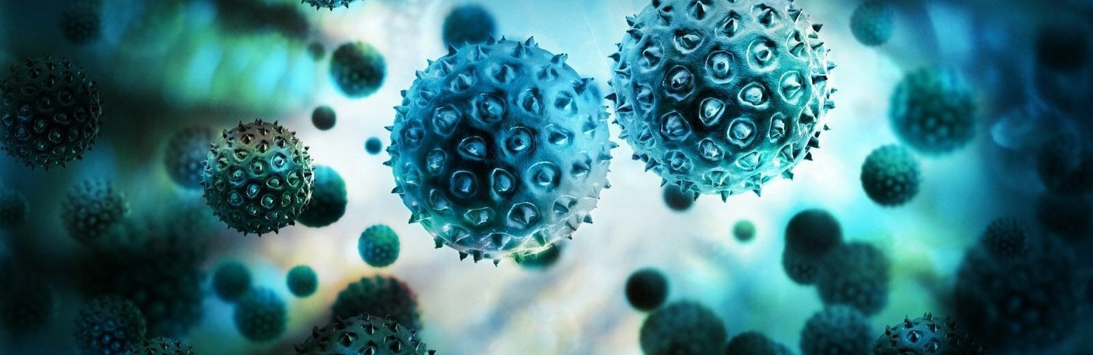 ����: 0629.com.ua