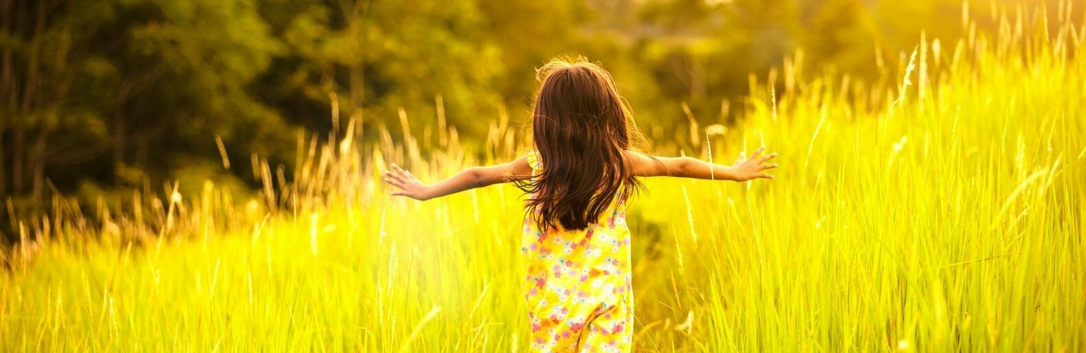  ������� ������ ��������� ��������� ����� ��������� 