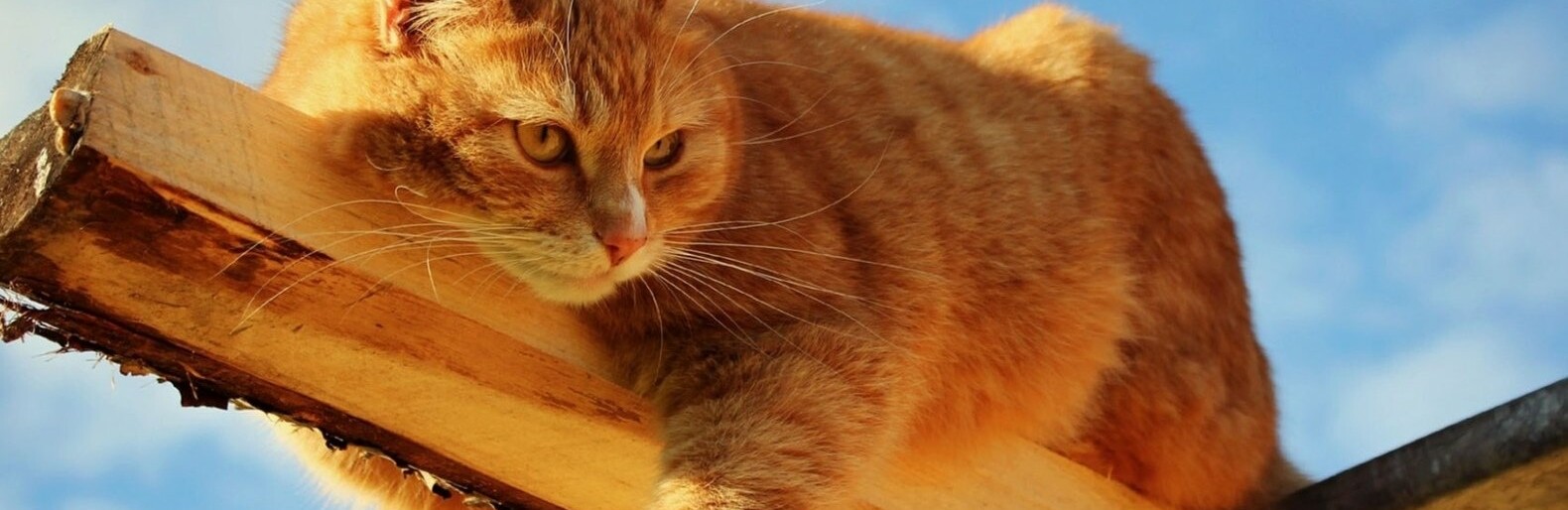  ������� ������ ��������� ��������� ������������ ����� ������ 