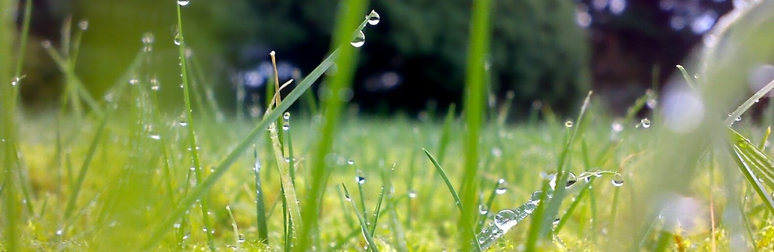  ������� �������� ������ ��������� ��������� ����������� ����� 