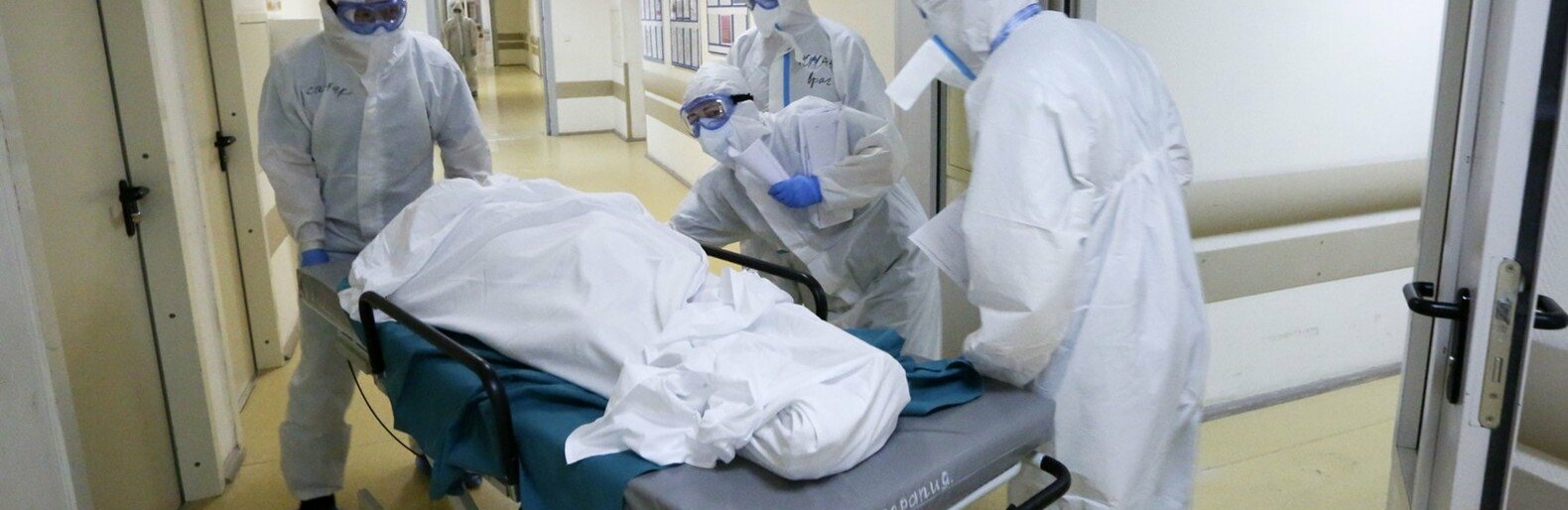  covid-19 ������� �������� ��������� ������������ ������ �������� ������� 