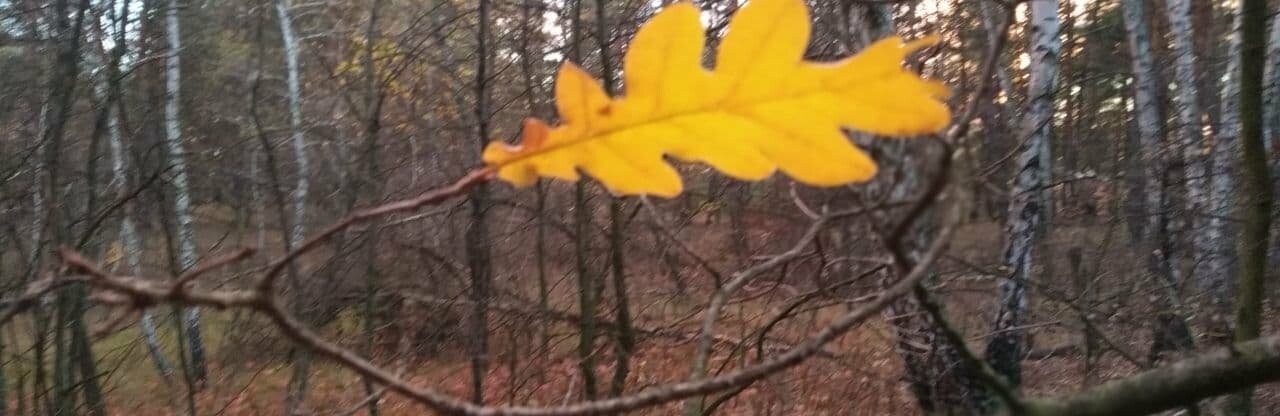  ��������� ���� ������ ��������� ������ ��������� ��������� 