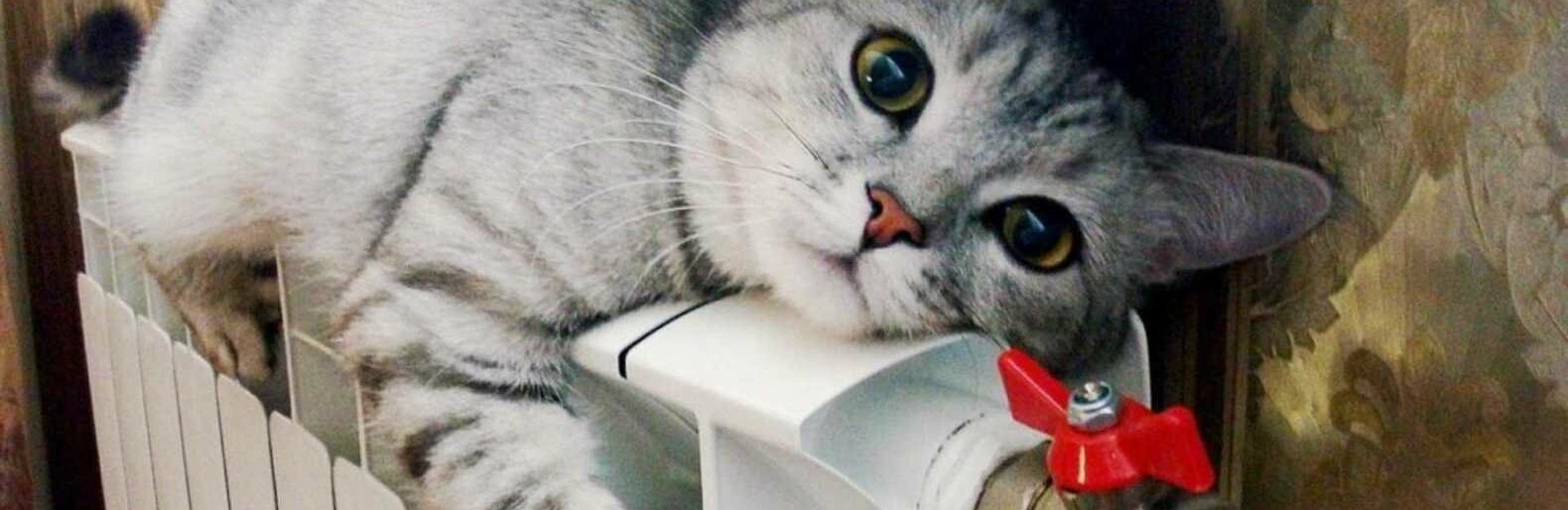  �������� ������ ��������� �������� ��������� ������ ���� 