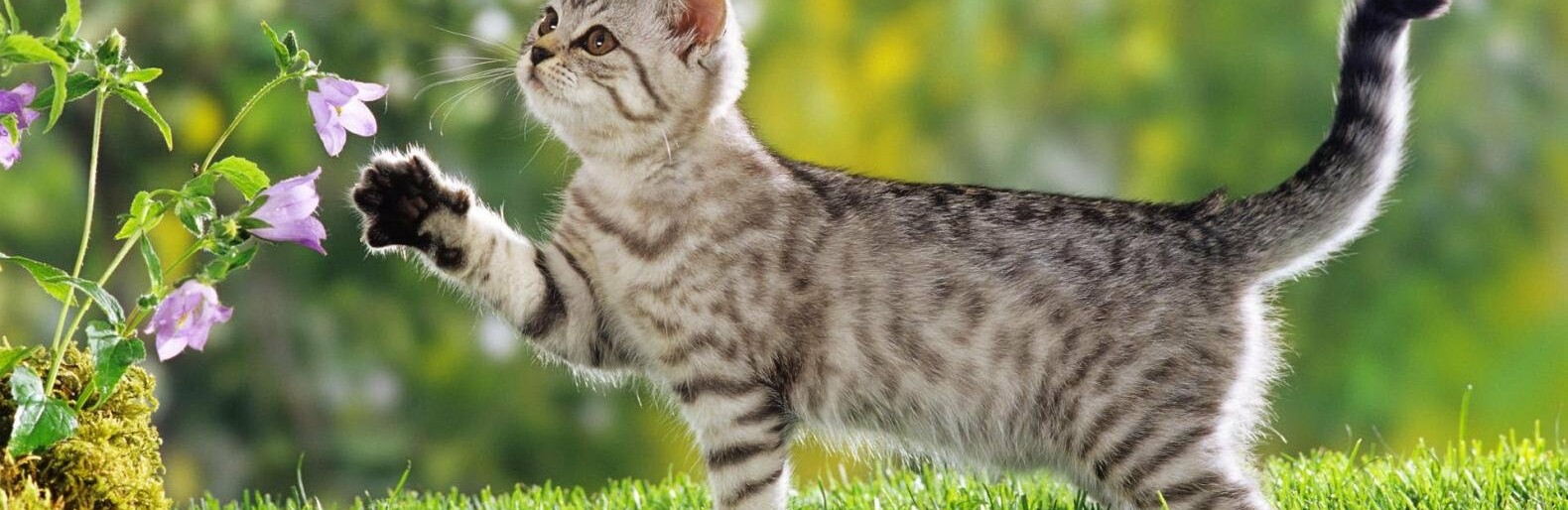  ���� ��� ���� ���� ����� ����� ������� ������ 