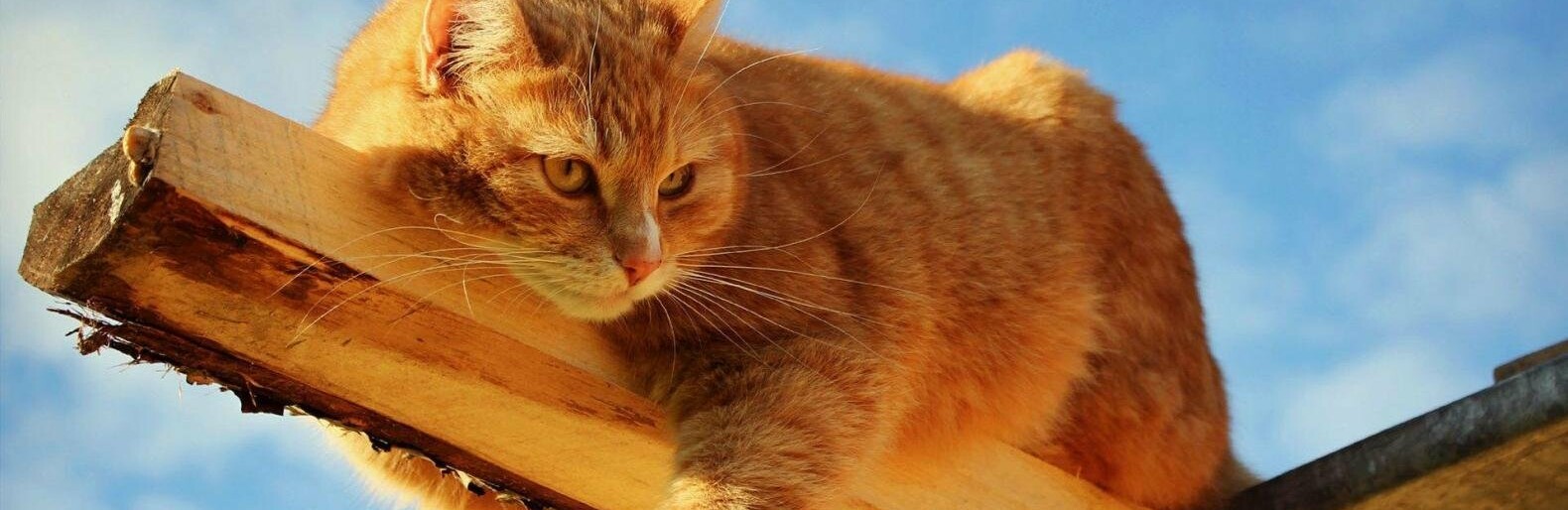  ����� ������ ���� ���� ������ ��� ���� ����� 