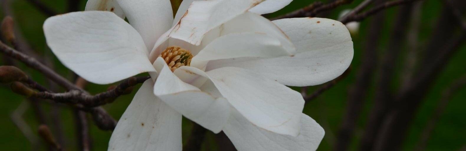 ����: 0629.com.ua