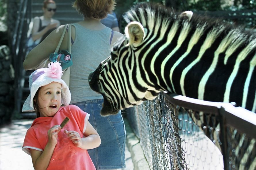 Сагирова Кристина_Зверь