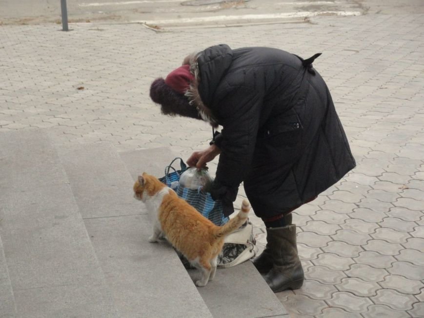 Фотопятница: «Они дали нам жизнь, построили города, в которых мы живем. Чем мы им ответили?». (фото) - фото 1