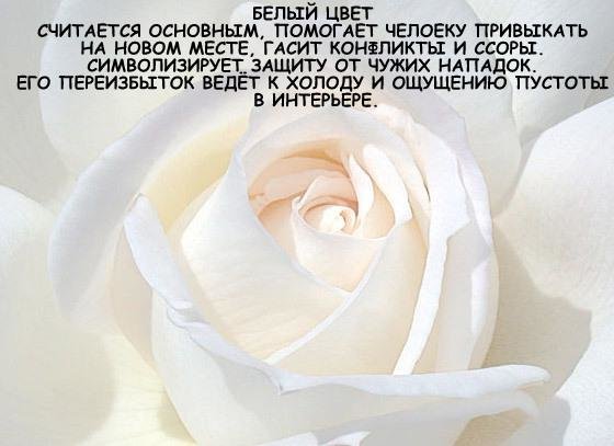 г