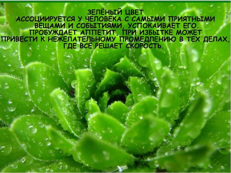 ж