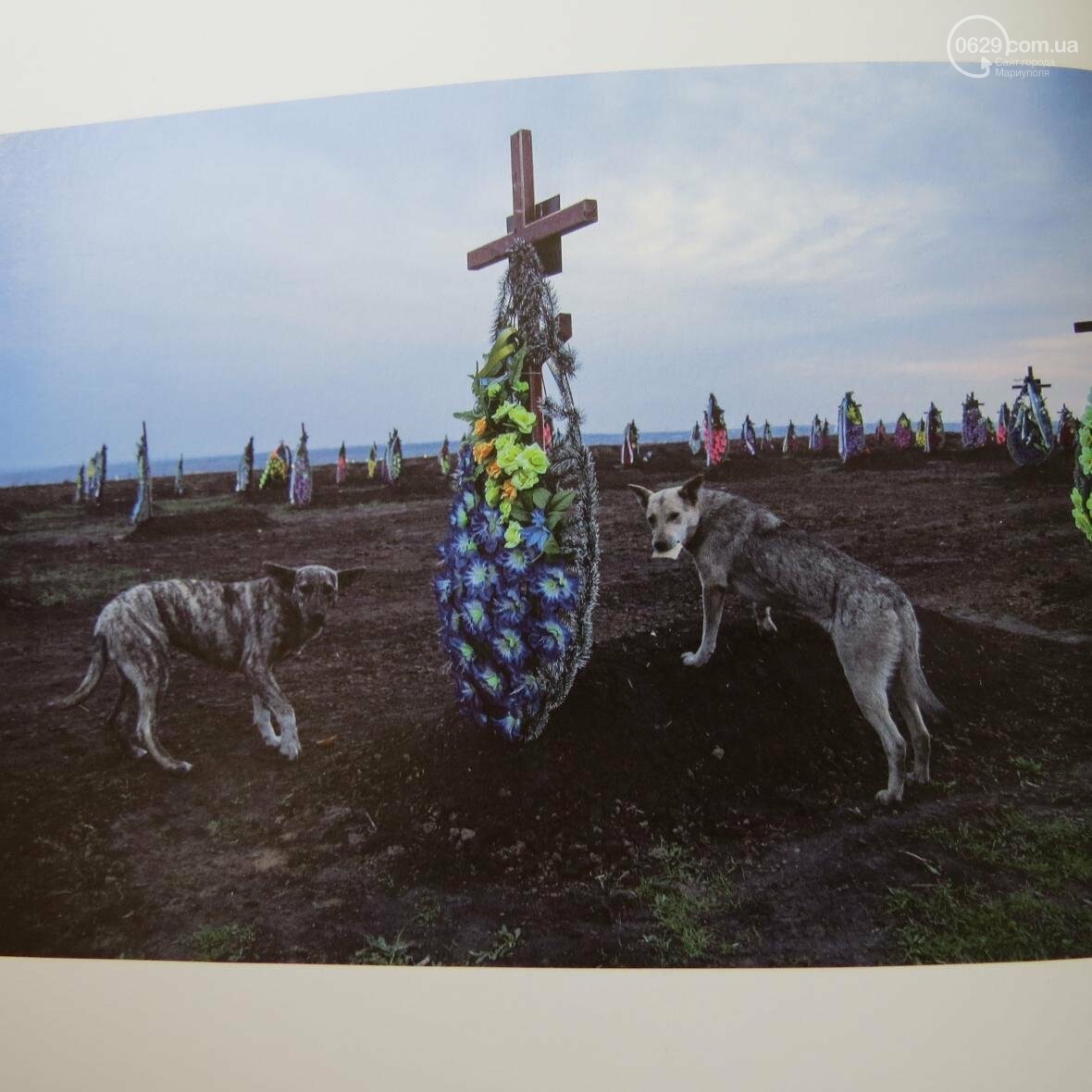 18.04.2015 года, Днепр 18.04.2015 года, Днепр, Александр Ратушняк