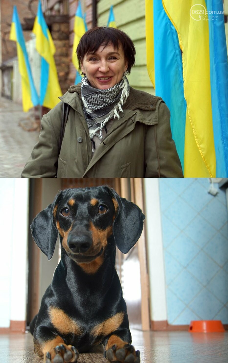 На какую собаку похожи известные люди Мариуполя, фото-4 На какую собаку похожи известные люди Мариуполя, фото-4