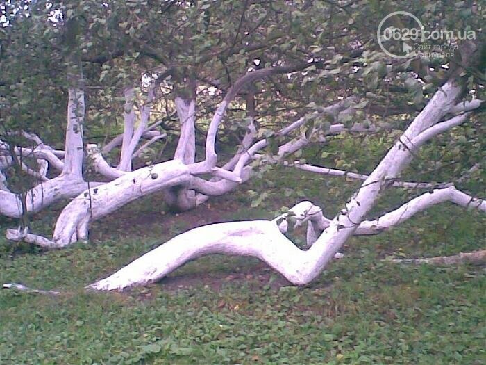 6 весомых причин любить Украину, фото-4 6 весомых причин любить Украину, фото-4