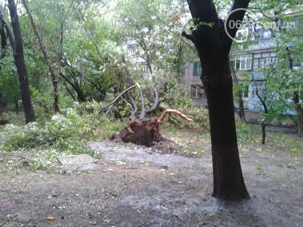 Мариуполь. 28 лет в условиях независимости. 2014 год, - ФОТО, фото-22 Мариуполь. 28 лет в условиях независимости. 2014 год, - ФОТО, фото-22