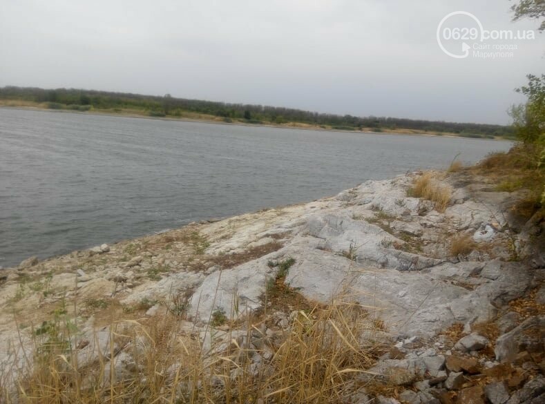 Тилапия в нововоронежском водохранилище фото