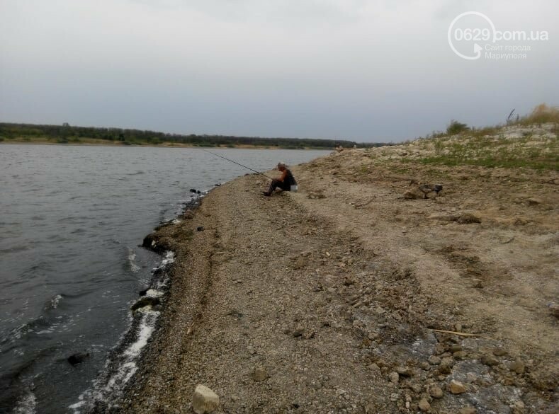 Тилапия в нововоронежском водохранилище фото