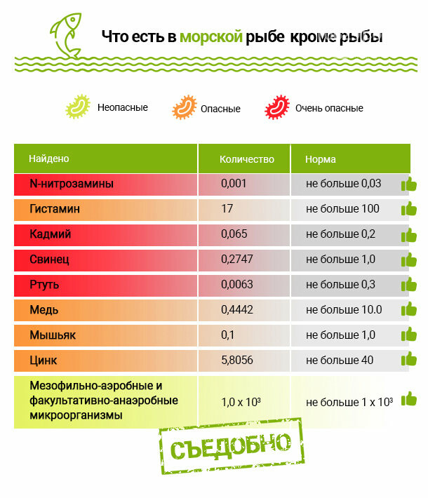 Безопасно ли есть мариупольскую рыбу? Получены результаты и..., фото-7 Безопасно ли есть мариупольскую рыбу? Получены результаты исследований, - ФОТО, ВИДЕО, ИНФОГРАФИКА, фото-7