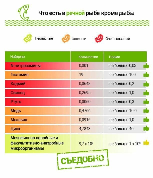 Безопасно ли есть мариупольскую рыбу? Получены результаты и..., фото-6 Безопасно ли есть мариупольскую рыбу? Получены результаты исследований, - ФОТО, ВИДЕО, ИНФОГРАФИКА, фото-6