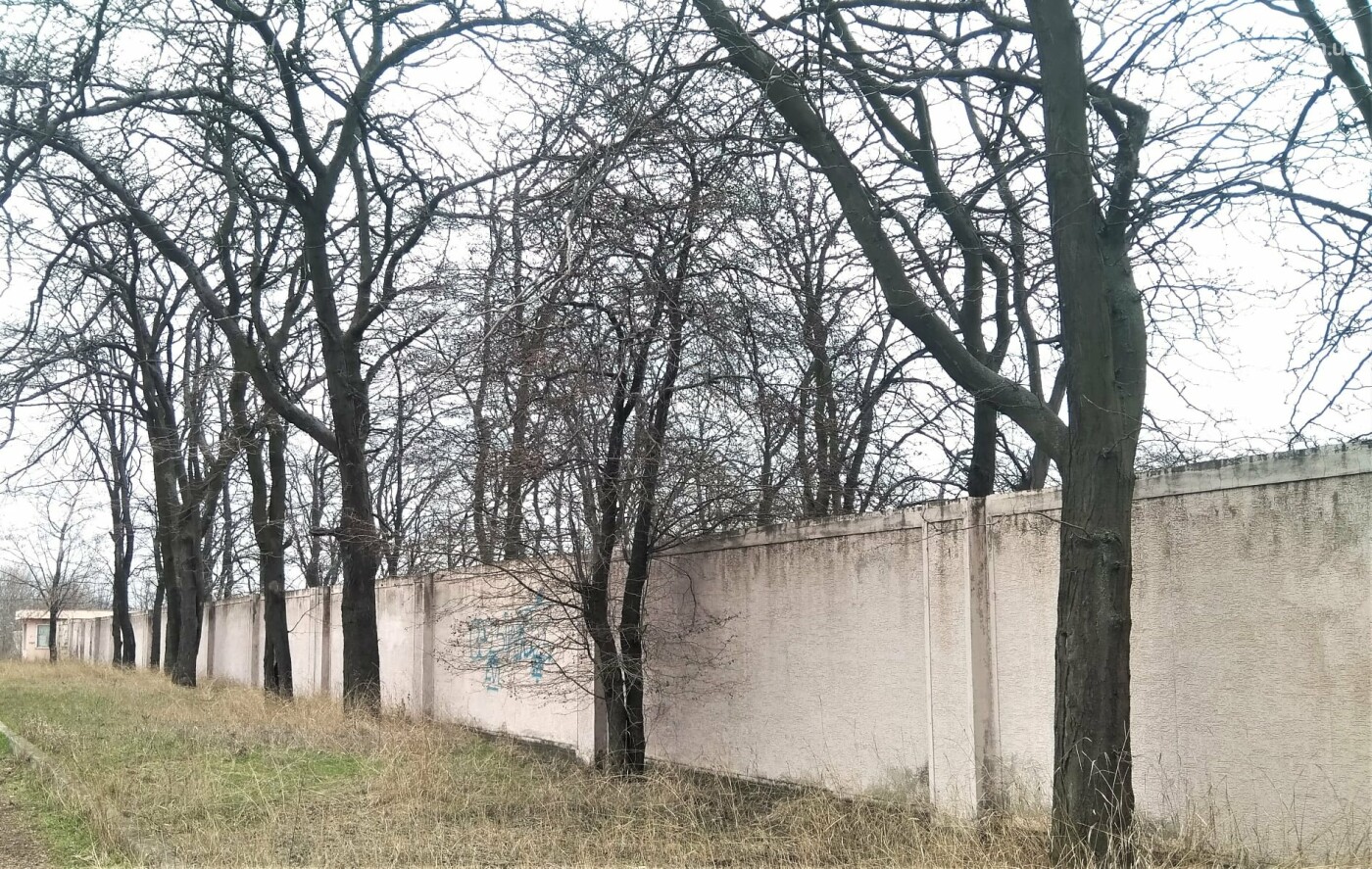  Історія високого паркану: що спільного між схилом в Приморському парку та Міським садом, фото-5