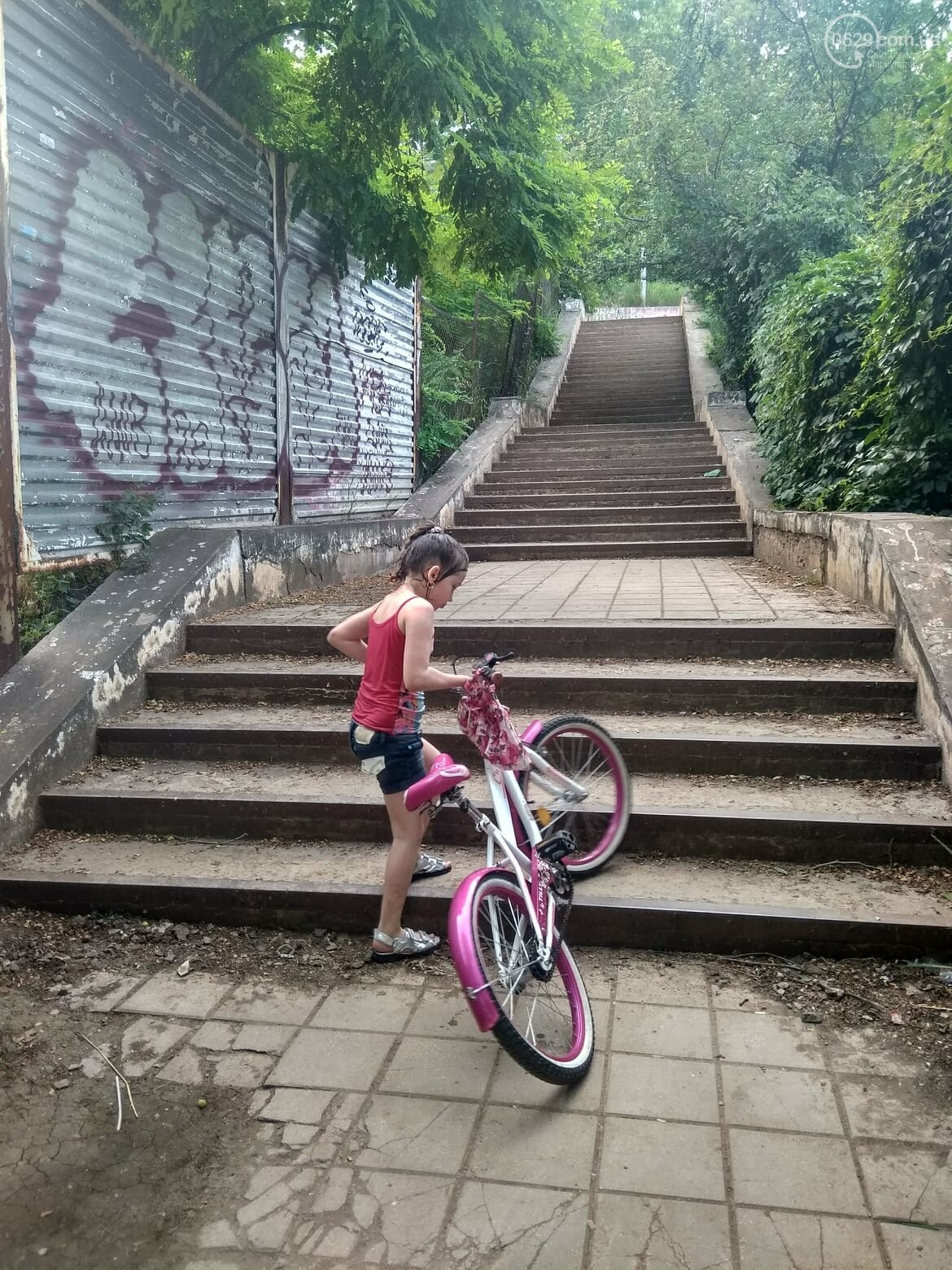  Історія високого паркану: що спільного між схилом в Приморському парку та Міським садом, фото-8