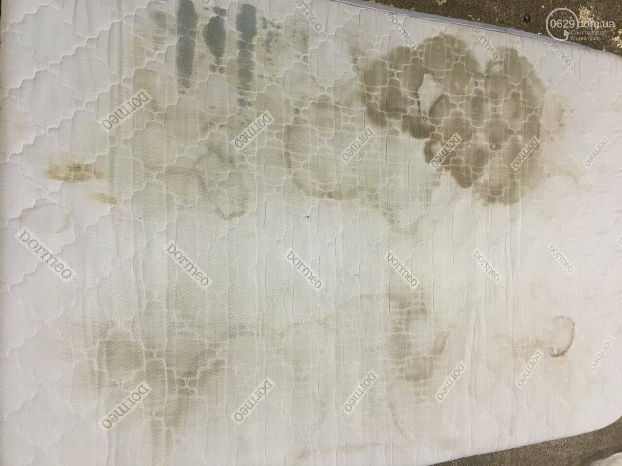 Химчистка ковров в Мариуполе в 8-этапов от Clean Master. В..., фото-9 Химчистка ковров в Мариуполе в 8-этапов от Clean Master. Ваши ковры будут как новые!, фото-9