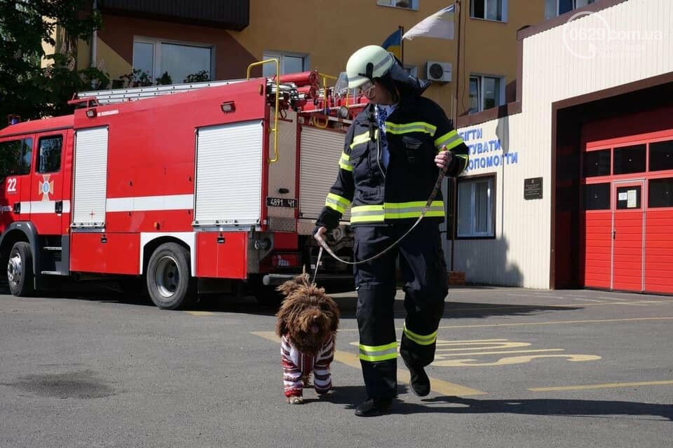 Кто из известных мариупольцев нарядился в вышиванку, - ФОТО, фото-19